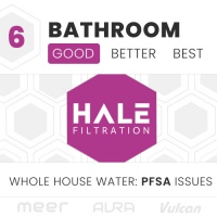 6 BATH: PFSA Issues (Good)